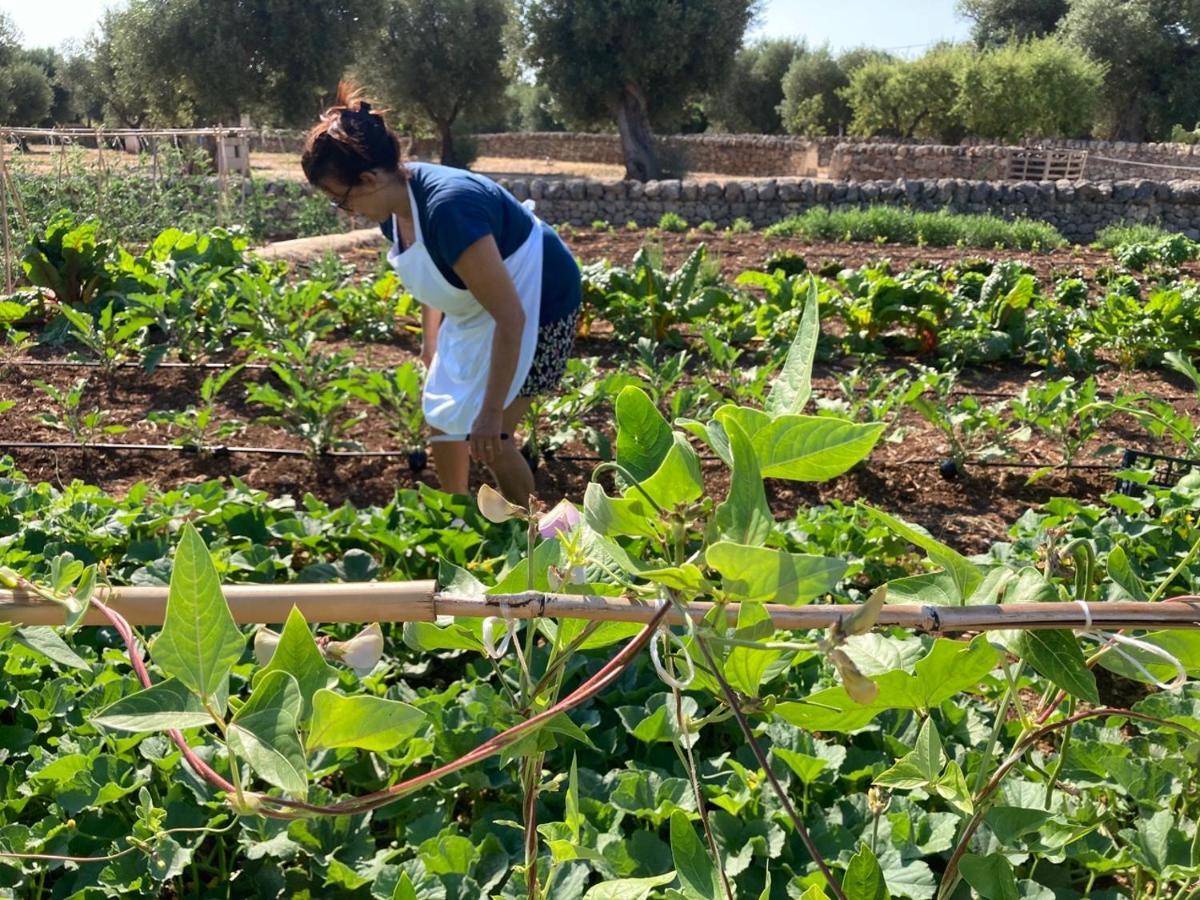 Boutique Hotel Masseria Sottomasi Savelletri Екстериор снимка