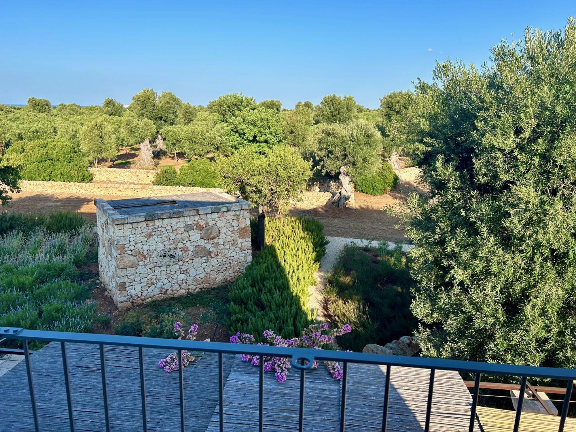 Boutique Hotel Masseria Sottomasi Savelletri Екстериор снимка