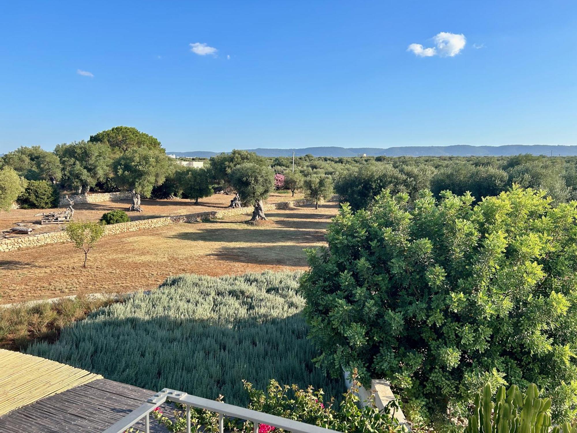 Boutique Hotel Masseria Sottomasi Savelletri Екстериор снимка