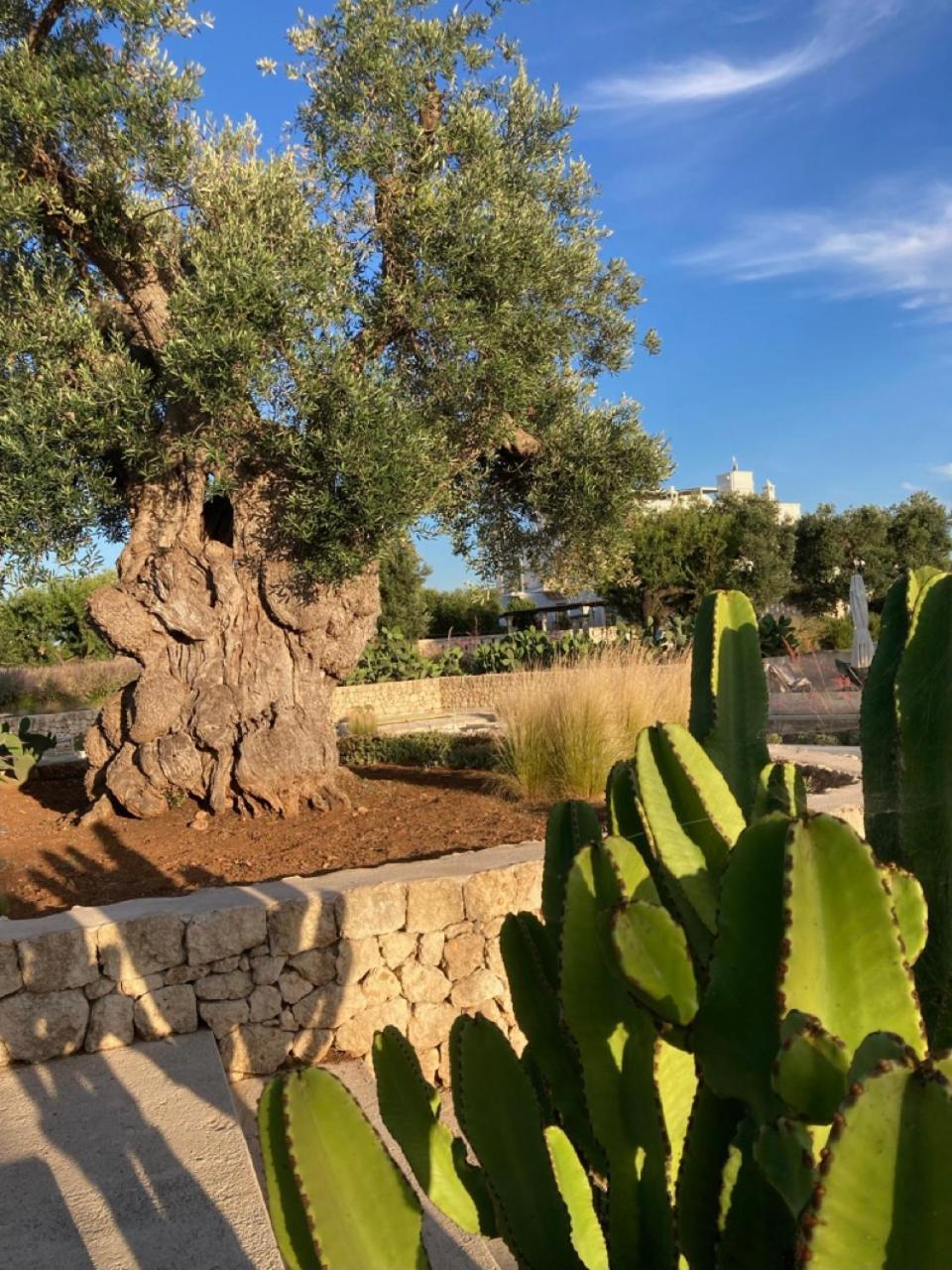 Boutique Hotel Masseria Sottomasi Savelletri Екстериор снимка