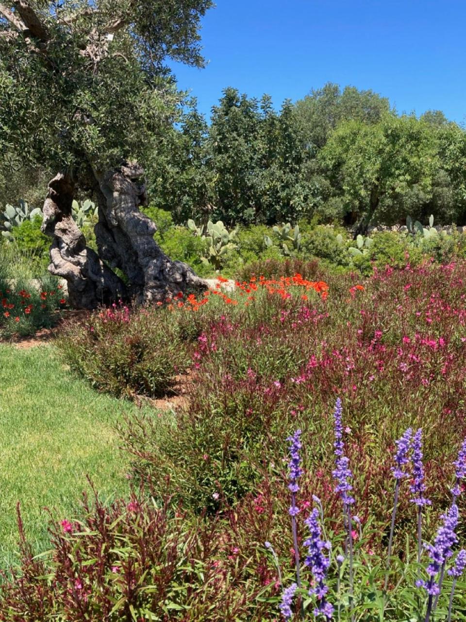 Boutique Hotel Masseria Sottomasi Savelletri Екстериор снимка