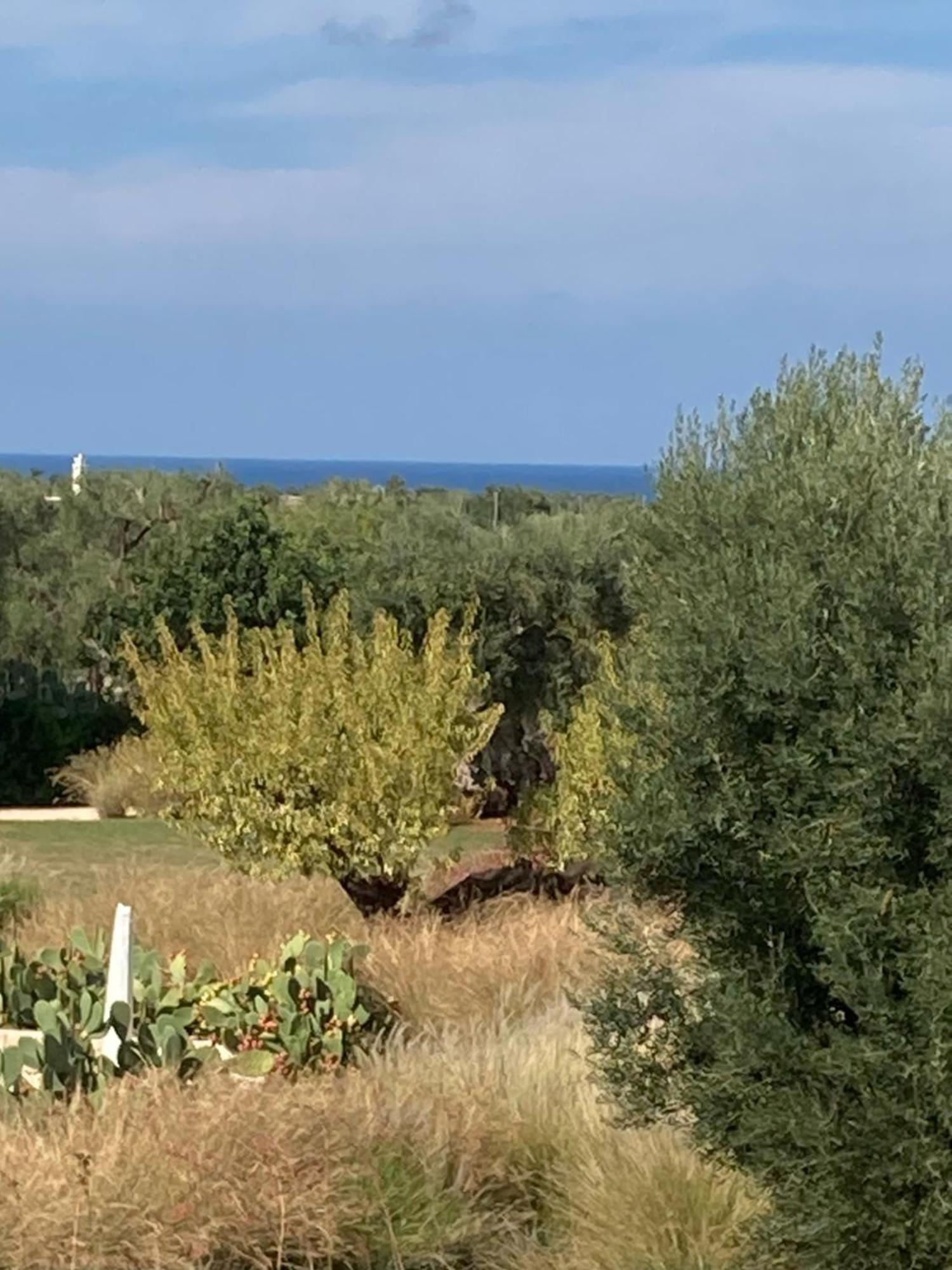 Boutique Hotel Masseria Sottomasi Savelletri Екстериор снимка